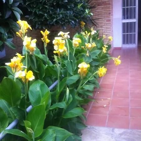 Beach Apartamento La Pineda